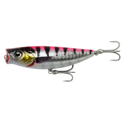 Pink Barracuda