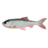 Elektrisch Kunstaas? Ontdek de PulzBait Roach Kit 20 cm Elektrisch Kunstaas? Ontdek de PulzBait Roach Kit 20 cm