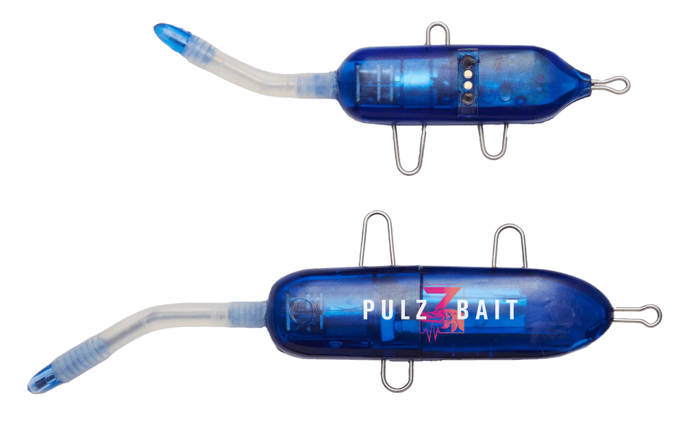 Elektrisch Kunstaas? Ontdek de PulzBait Roach Kit 20 cm