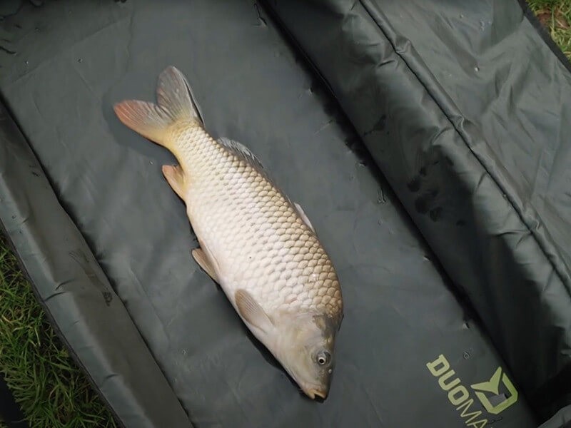 Delphin DuoMAT XXL Onthaakmat | Veilige Karpermat | Viskick.nl