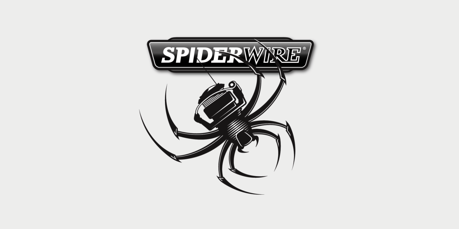 SpiderWire